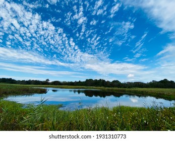 Cape May Marshland In Cape May County, NJ.