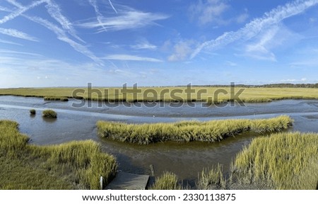 Similar – a tideway leads through the blooming salt marshes on Hallig Gröde