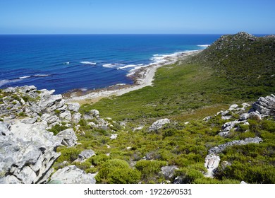 Cape Point Nature Reserve, Cape Town, South Africa