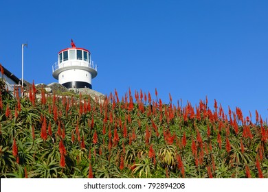 Cape Point In South Africa
