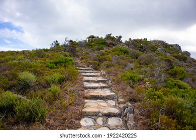 Cape Point- Cape Town, South Africa - 19-02-2021

Stone staircase leading up the side of mountain in Cape Point. Surrounded by lush plant life. - Shutterstock ID 1922420225