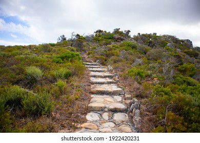 Cape Point- Cape Town, South Africa - 19-02-2021

Stone staircase leading up the side of mountain in Cape Point. Surrounded by lush plant life. - Shutterstock ID 1922420231