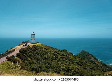 are dogs allowed at cape reinga