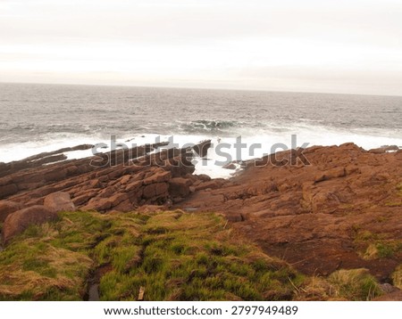 Cape spear viewpoint with ocean