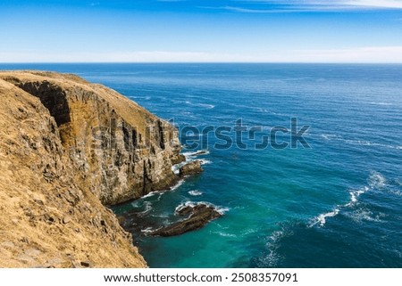 Cape St. Mary's Ecological Reserve on a sunny day