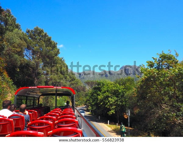Cape Town City Sightseeing bus on the way to route\
tour with green tree view and mountain and blue sky background,\
South Africa, Red bus