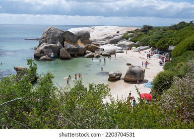 Cape Town, South Africa - 6 March 2021: People Enjoying Beach Holidays At Famous Penguin Beach In Cape Town - The Boulders Beach