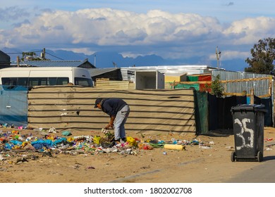 Cape Town, South Africa - August 2020: Homeless African Man Digging Throw Trash To Find Food, Mixed Race Man In Poverty