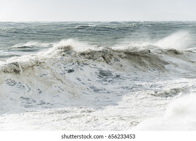 Buckroe Beach Tide Charts