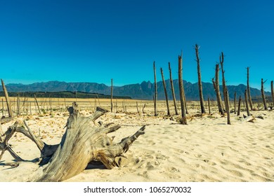 Cape Town Water Crisis