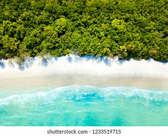 Cape Tribulation Beach Aerial Photo