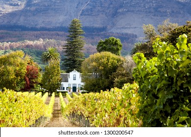 Wine Route South Africa