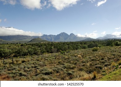 Wine Route South Africa