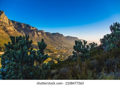 CAPETOWN, SOUTH AFRICA - Nov 22, 2021: A beautiful shot of a landscape during the day in Capetown, South Africa