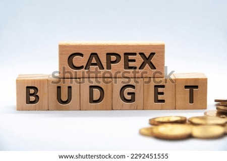 Capex budget text engraved on wooden blocks on white background cover. Business and budgeting concept