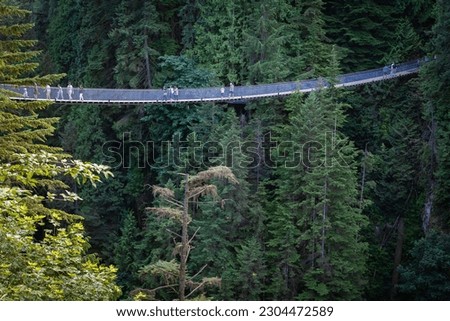 Capilano Bridge, a structure spanning the Capilano River, in the North District of Vancouver, British Columbia, Canada. People crossing the suspension bridge. Its maximum height is 140 meters and 70 m