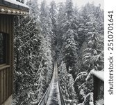 Capilano Suspension Bridge during winter, Vancouver Canada