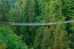 Le Pont De Suspension Capilano à Vancouver, Canada.
