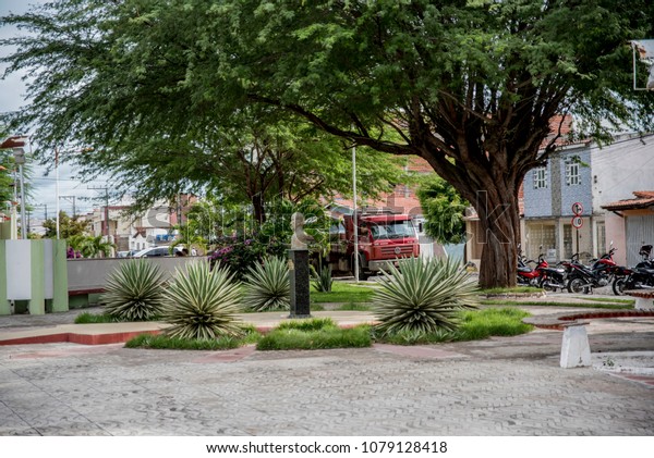 Capim Grosso Bahia fonte: image.shutterstock.com