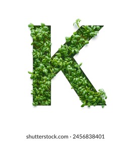 Capital letter K is created from young green arugula sprouts on a white background. - Powered by Shutterstock