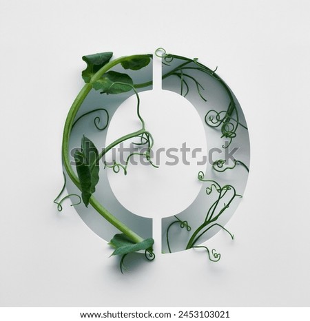 Similar – Green wreath with flowers and plants on white