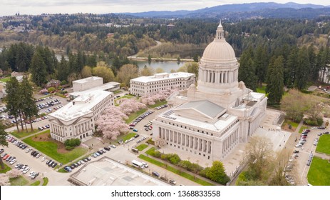 The capitol building in Olympia is adorned by the annual blooming of well placed Cherry Trees