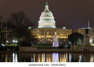 Capitol Building Washington DC Christmas Tree