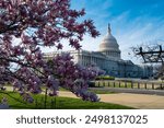 Capitol democracy in USA Washington DC, Capitol building USA. Supreme Court, Washington monument. USA Congress. Capitol is symbolic of USA. Spring in Washington D C.