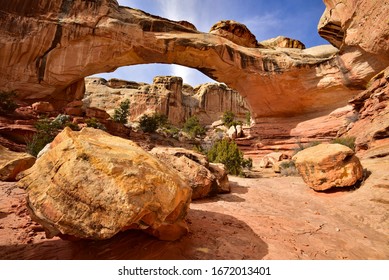 Capitol Reef National Park and surrounding area.  Capitol Reef is one of five national parks in the state of Utah, USA  Majestic red rock cliffs and natural bridges are common sites in the park.   - Powered by Shutterstock