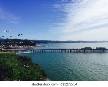 Capitola Beauty