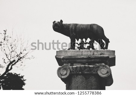 Capitoline Wolf in Rome, Italy. The symbol of Rome, the legendary bronze sculpture. Travel to Italy