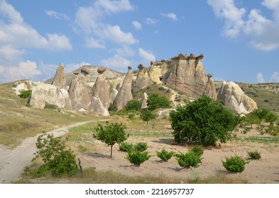 Cappadocian Landscape With Plants And Bizarre Rock Formation