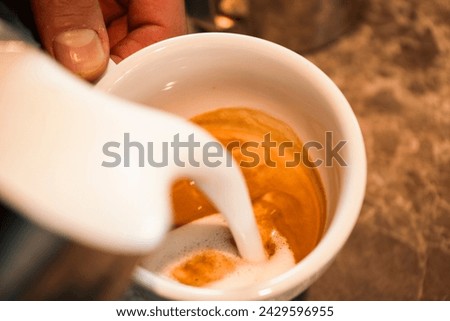 A cappuccino with milk foam prepared by a barista.
