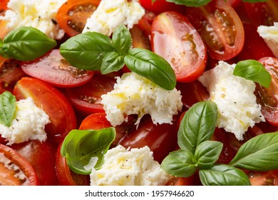 Caprese Salad With Cherry Plum Tomatoes, Mozzarella Cheese And Basil. Healthy Vegetarian Food