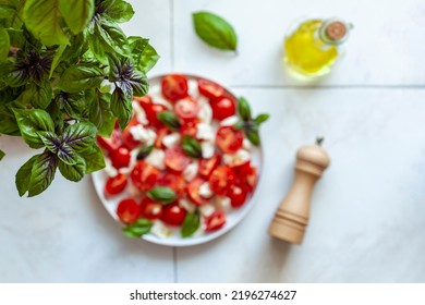 Caprese Salad Served Under The Red, Basil Plant, Home Gardening Concept, Top View, Focus On The Basil Plant