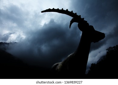 Capricorn Or Ibex Watching The Mountain Thunderstorm