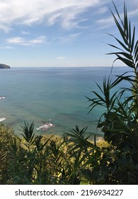 Caprioli Beach In Cilento, Italy 