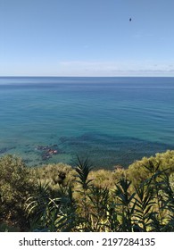 Caprioli Beach In Cilento, Italy 