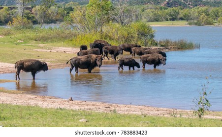 Caprock Canyon State Park