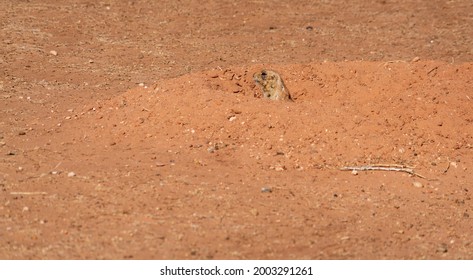 Caprock Canyons State Park, Texas