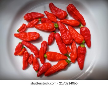 Capsicum frutescens or tabasco pepper on a white plate with vignette background.