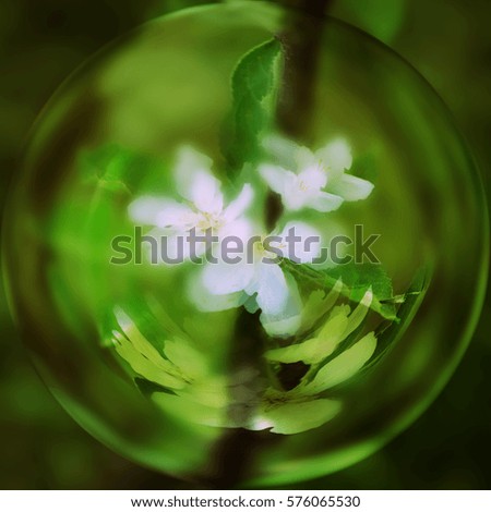 Similar – Wild white flowers lily of the valley