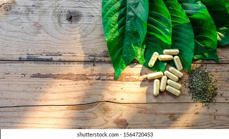 capsule and powder on kratom leaf (Mitragyna speciosa) Mitragynine on wooden ,Drugs and Narcotics,Thai herbal which encourage health