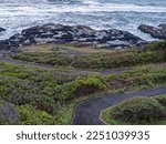 The Captain Cook Trail meanders above Sprouting Horn at Cape Perpetua State Park, Oregon, USA