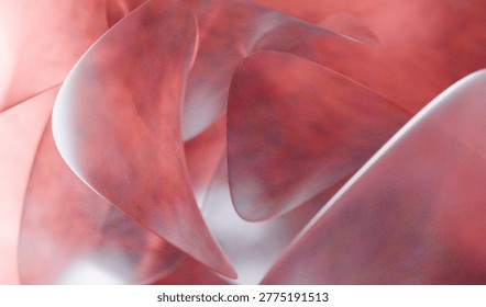 A captivating abstract image featuring translucent pink and white curved shapes with soft lighting and a blurred background.