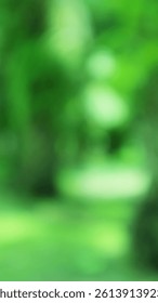 A captivating abstract soft focus of luscious green foliage serenity
