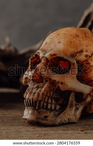A captivating close-up of an aged skull featuring striking red eyes. This dark and eerie image highlights intricate textures and the macabre beauty of life and death.