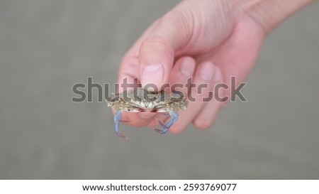 A captivating close-up captures a small crab held delicately between two fingers.