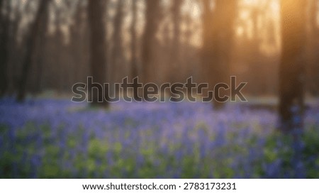 A captivating forest scene showcasing a vibrant carpet of bluebells beneath towering trees, bathed in the warm glow of sunlight filtering through the canopy. The image captures the serene beauty of nature.