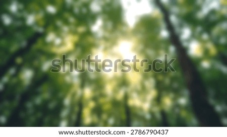 A captivating image showcasing sunlight piercing through the dense canopy of a vibrant green forest. The photograph captures the interplay of light and shadow, creating a tranquil and inviting atmosphere.